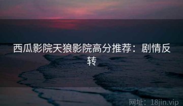 西瓜影院天狼影院高分推荐：剧情反转